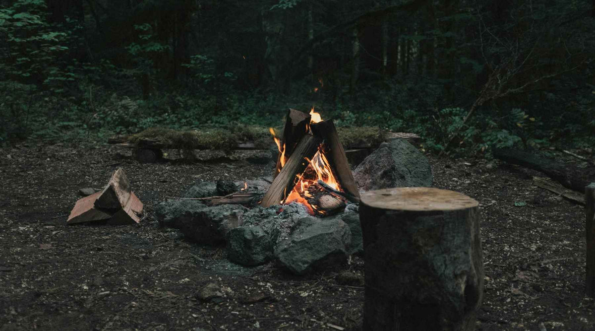 UNYZONE : Feu de camp, Photo de Matt Whitacre sur Unsplash Image