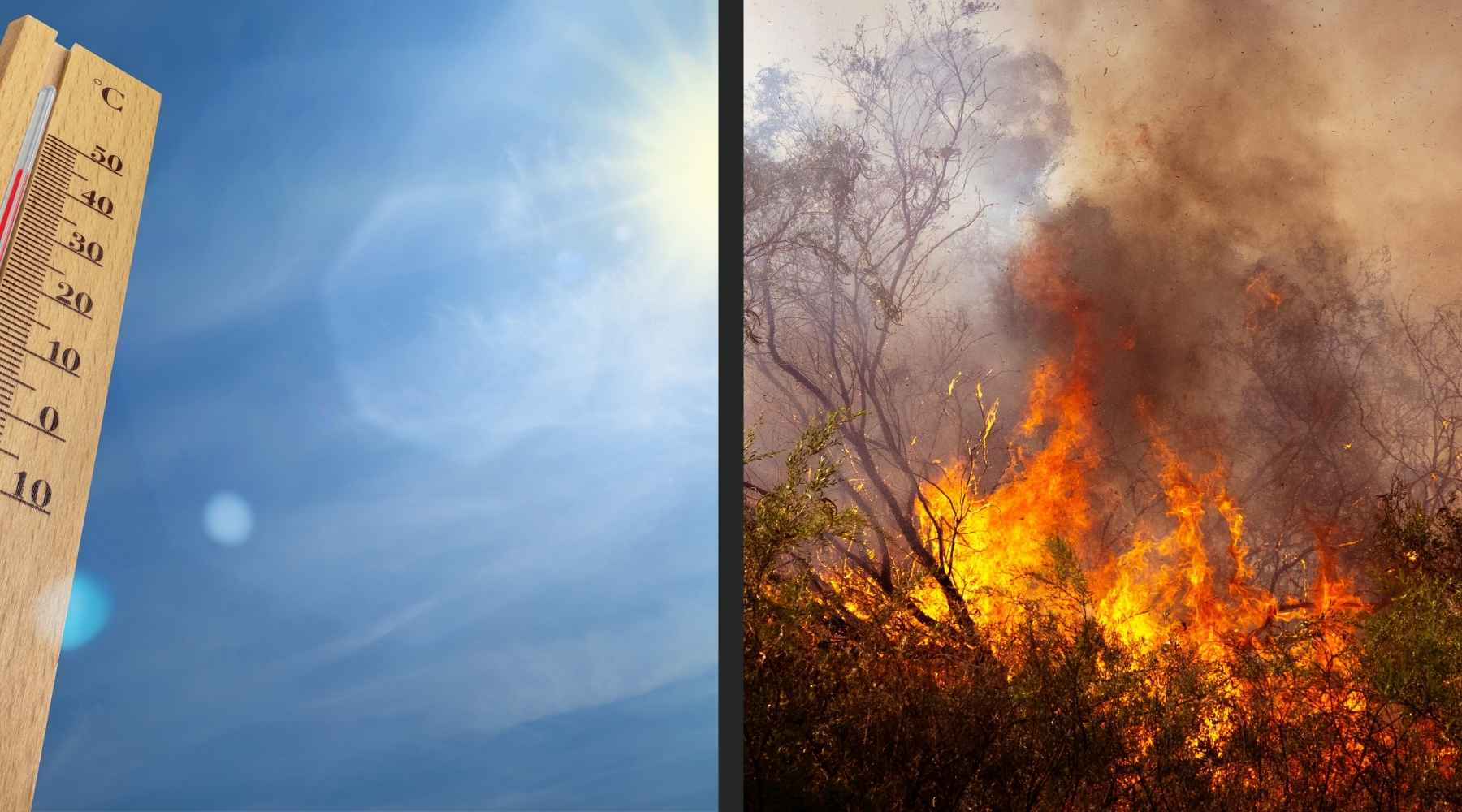 Prévention sur la chaleur et la canicule en été quand on fait de l'airsoft. Image