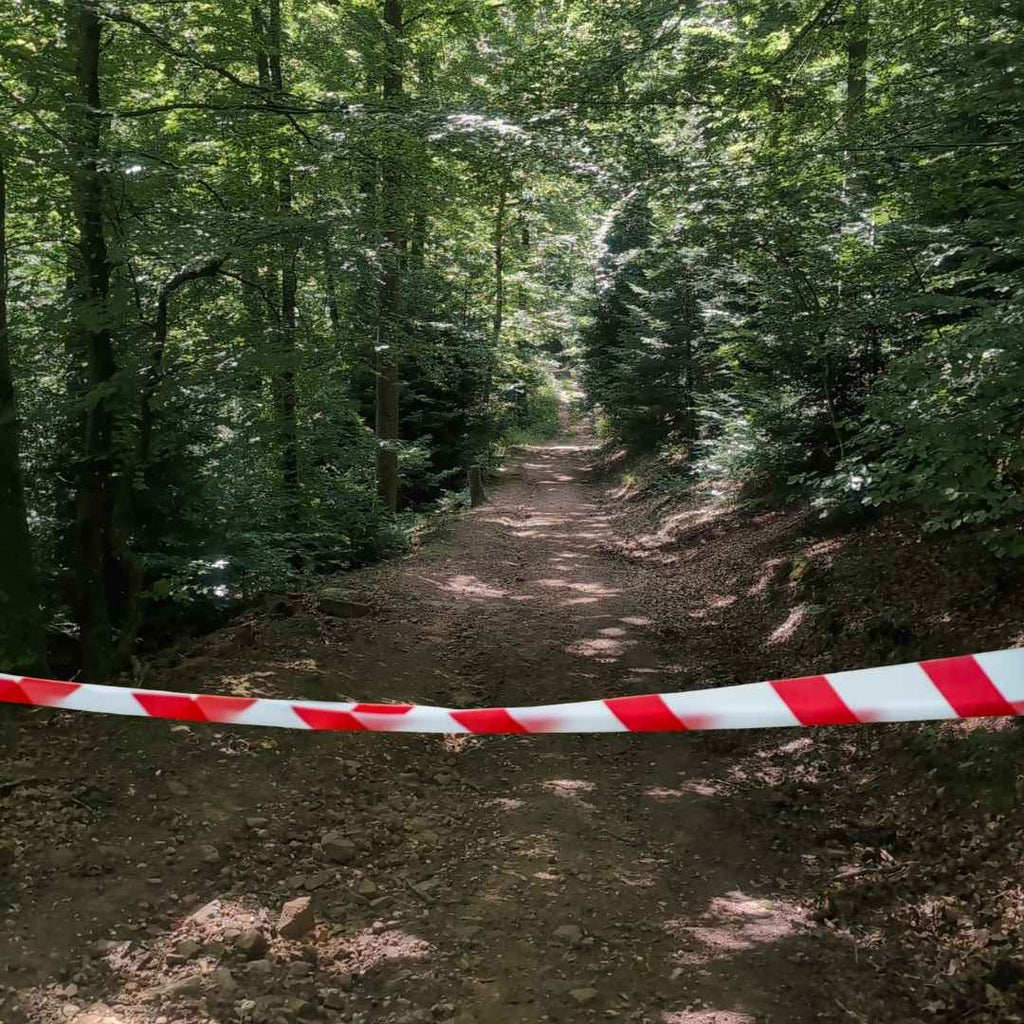 UNYZONE : NOVAP Ruban de signalisation rouge et blanc, mise en situation en forêt