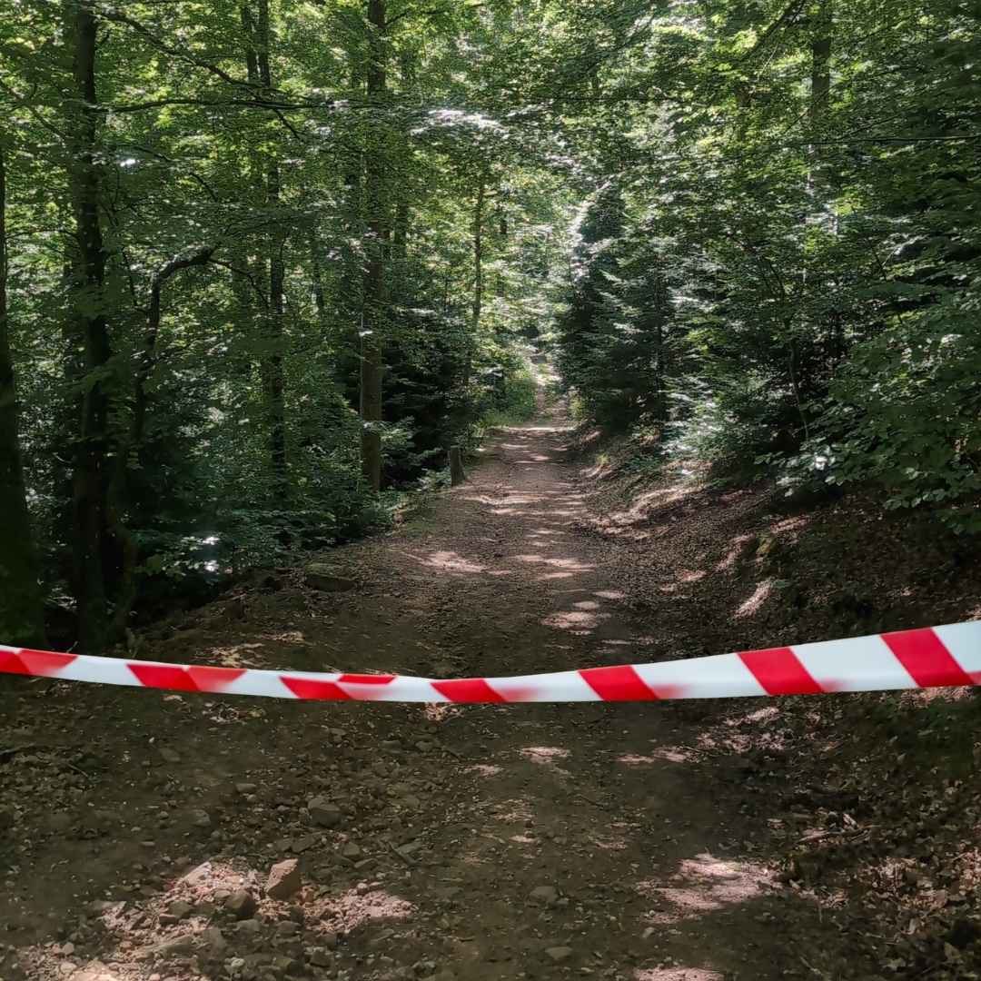 UNYZONE : NOVAP Ruban de signalisation rouge et blanc, mise en situation en forêt