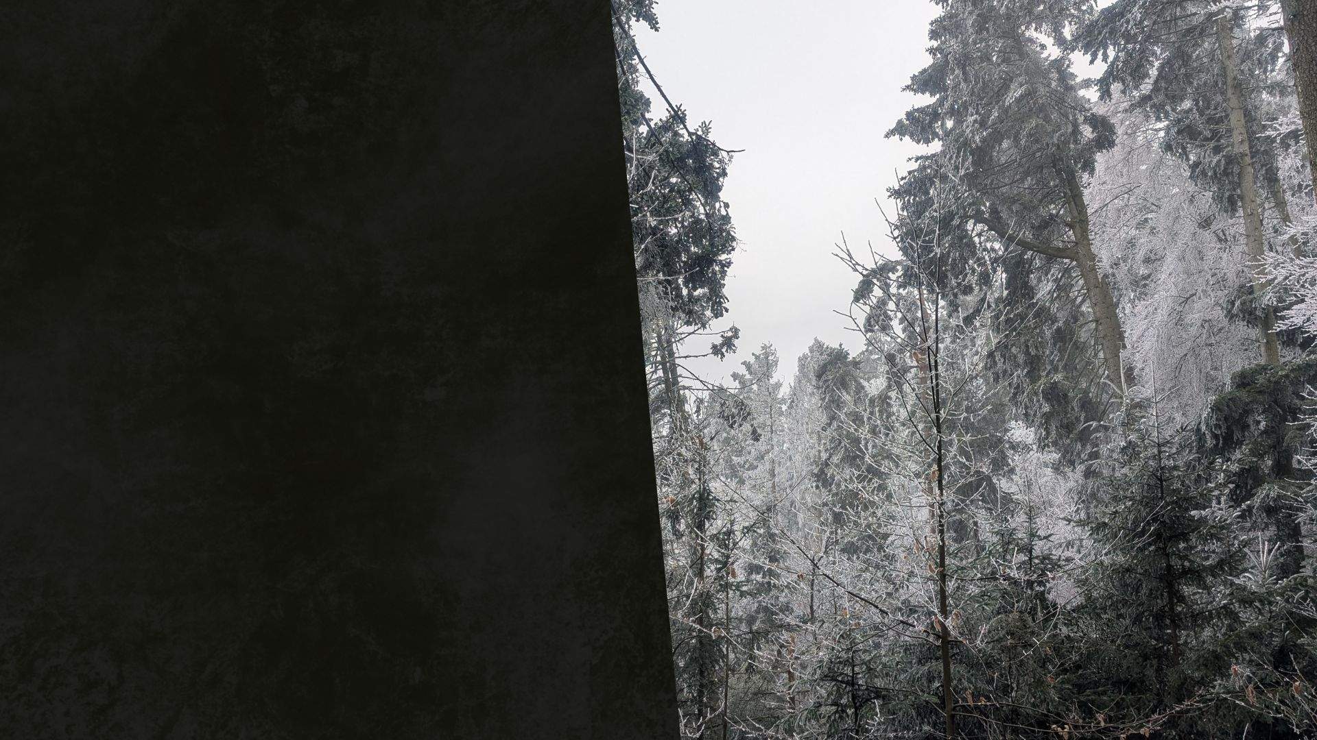 UNYZONE : Slide desktop "Forêt en hiver"